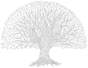 wisdom tree