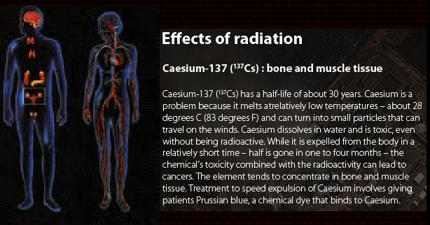 Effects of Radiation