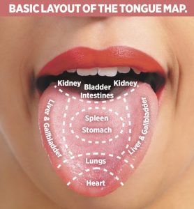 Chinese_Medicine_Tongue-580x627